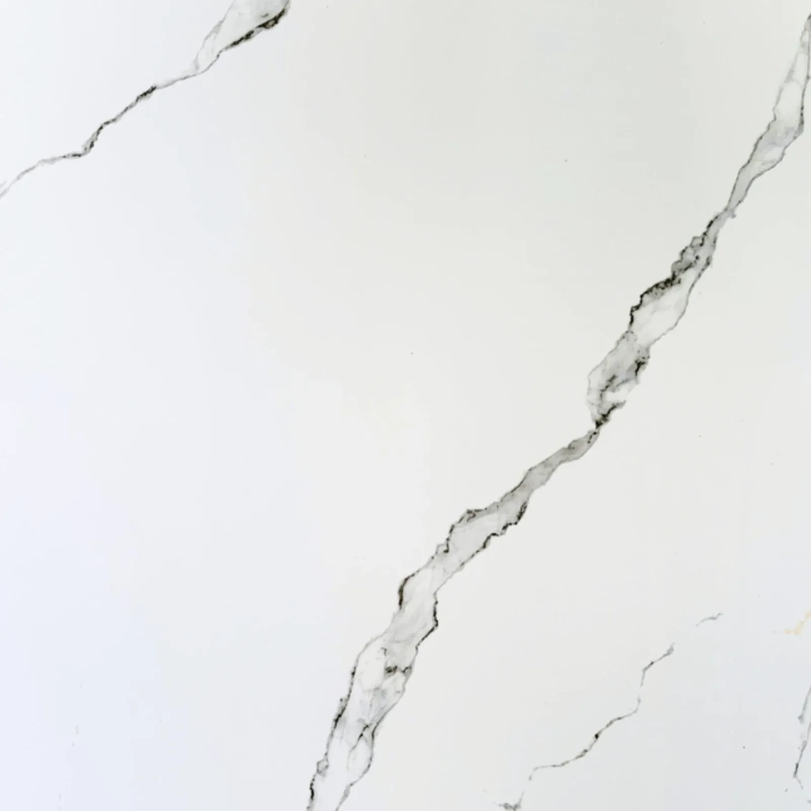 Panel PVC Alto Brillo — Calacatta Blanco