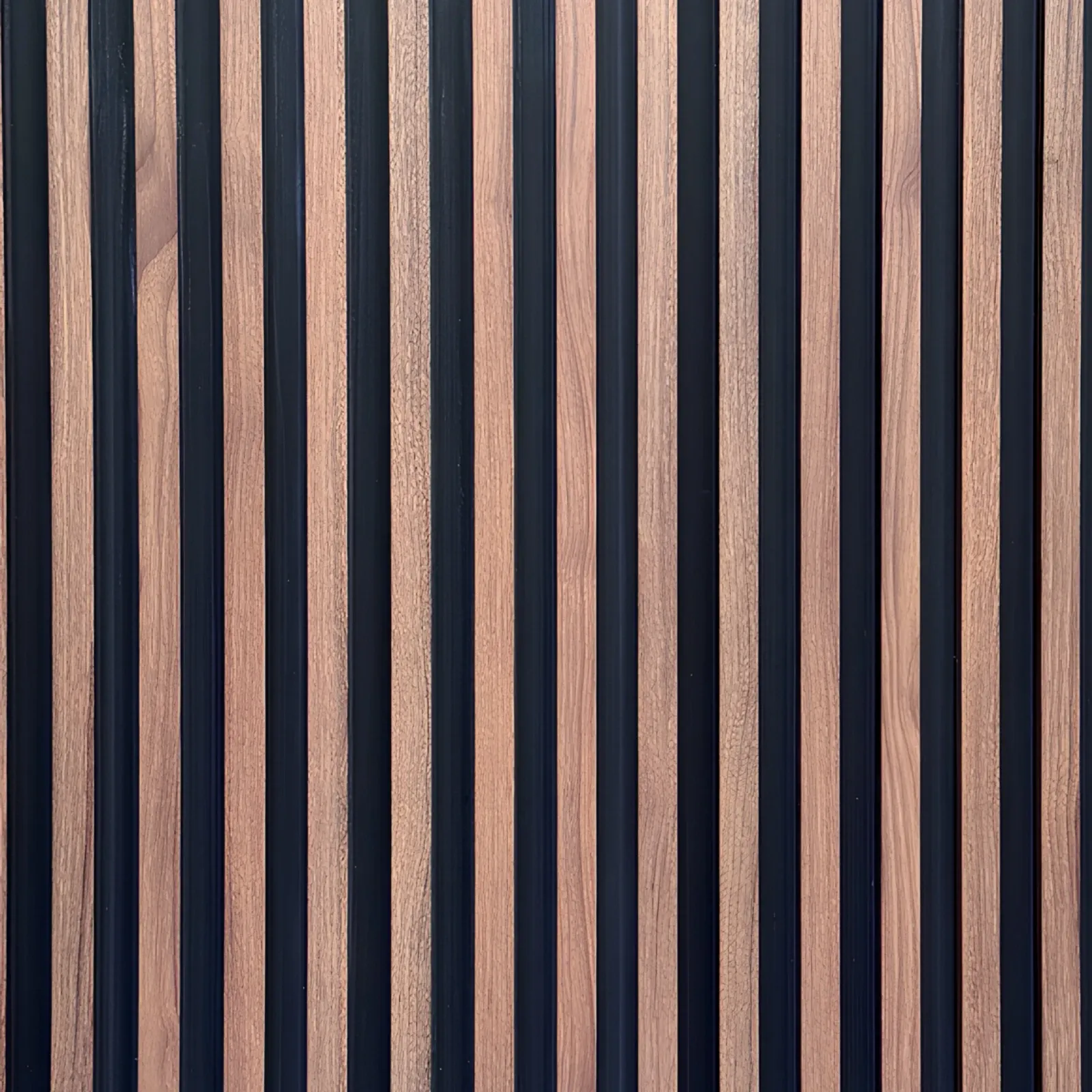 Línea Decorativa